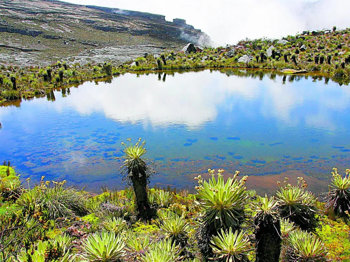 Páramo de Sumapaz